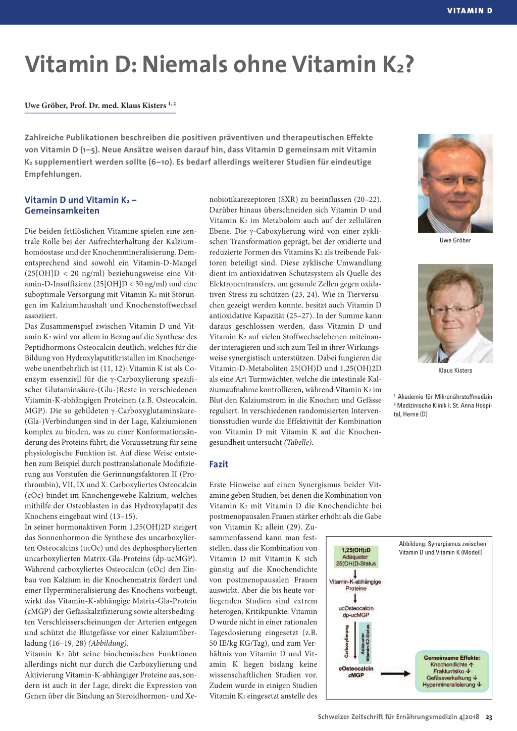 Vitamin D Niemals ohne Vitamin K2? Rosenfluh.ch